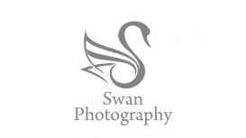 Swan Photography