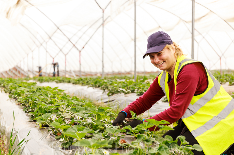 Agriculture and farming photographer