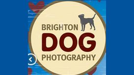 Brighton Dog Photography