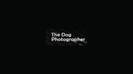 The Dog Photographer