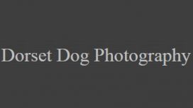 Dorset Dog Photography