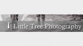 Little Tree Wedding Photography