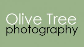 Olive Tree Photography