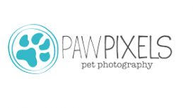 Paw Pixels Pet Photography
