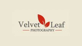 Velvet Leaf Photography