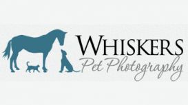 Whiskers Pet Photography